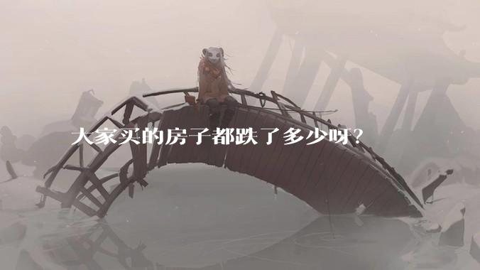 大家买的房子都跌了多少呀？