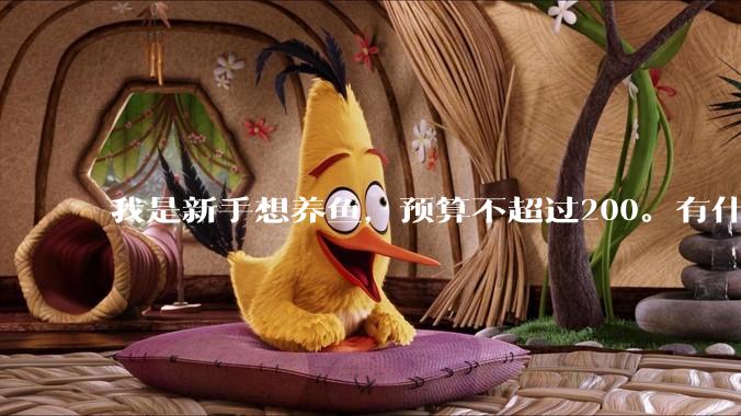 我是新手想养鱼，预算不超过200。有什么好的建议或者禁忌吗。？