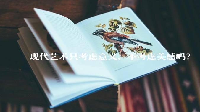 现代艺术只考虑意义、不考虑美感吗？